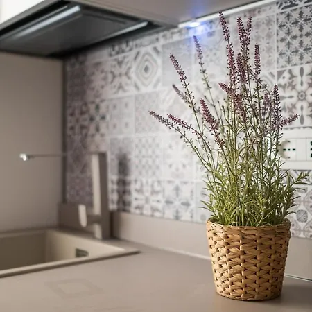 Ariosti A Un Passo Da Piazza Maggiore Apartment